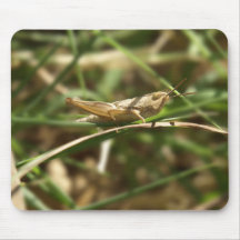 Little locust mouse mat