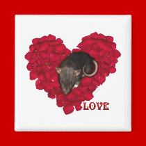 Little Love Magnet magnets