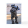 Little Miniature Schnauzer Puppy Greeting Card
