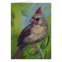 Little Miss Cardinal aceo Blank Card