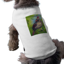 Little Miss Cardinal aceo Pet Clothing