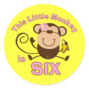 Little Monkey 6th Birthday Girl stickers