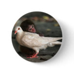 Little Monkey Hugging Bird buttons