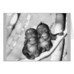 Little Monkeys Cards