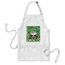 Little Mushroom Aprons