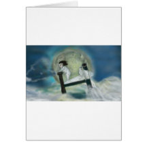 Little Nemo Card