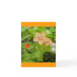 Little Orange Wildflower Scarlet Pimpernel Greeting Card