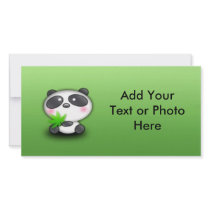 Little Panda Cub