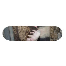 Little Piggies Skate Board Deck