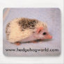 Little pinto mousepad