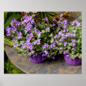 Little purple flowers posters