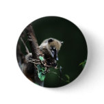 Little rascals coati - lemur buttons