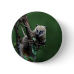 Little rascals coati - lemur buttons