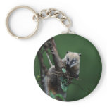Little rascals coati - lemur keychains