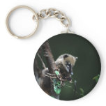 Little rascals coati - lemur keychains