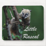 Little rascals coati - lemur mousepads