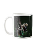 Little rascals coati - lemur mugs