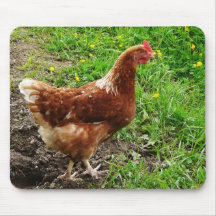Little Red Chicken  - Free Range Egg Layer Mousepad