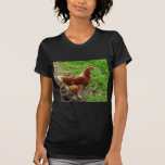 Little Red Chicken  - Free Range Egg Layer Tshirt