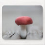 Little red Mushroom Mouse Pads
