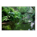 Little River Creek cards