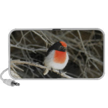 little robin redbreast bird sitting on a twig portable speakers