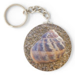 Little Shell Keychain