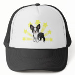 Little Star Boston Terrier