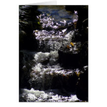 LIttle Stream Card