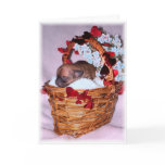 Little Surprises cards