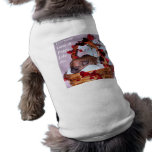 Little Surprises pet clothing