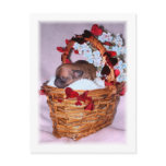 Little Surprises postcards