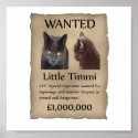 Little Timmi wanted poster posters