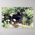 Little Waterfall posters