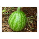 Little Watermelon Cards