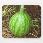 Little Watermelon Mousepads