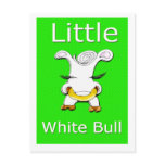 little white bull post card