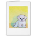 Little white dog art drawing cute Maltese puppy cards