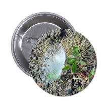Little White Feather 1 Button