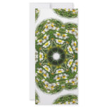 Little White Wildflower Kaleidoscope Art 2 rack cards