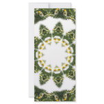 Little White Wildflower Kaleidoscope Art 5 rack cards