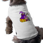 Little witch on pumpkin with kitten pet clothing
