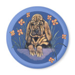 Little Wrinkled Bloodhound Puppy Magnets
