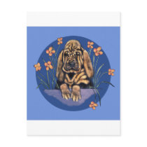 Little Wrinkled Bloodhound Puppy Post Cards