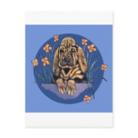 Little Wrinkled Bloodhound Puppy postcards
