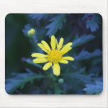 little yellow flower mousepads