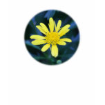 little yellow flower t-shirts