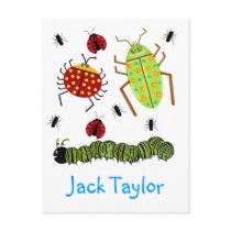 Littlebeane Bugs Insects  Ladybug Ant Caterpillar