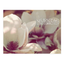 live dream love II Post Card