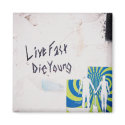 Live Fast Die Young magnets